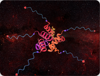 Propynyl-Dendron-Generation-3-tetraacetonide