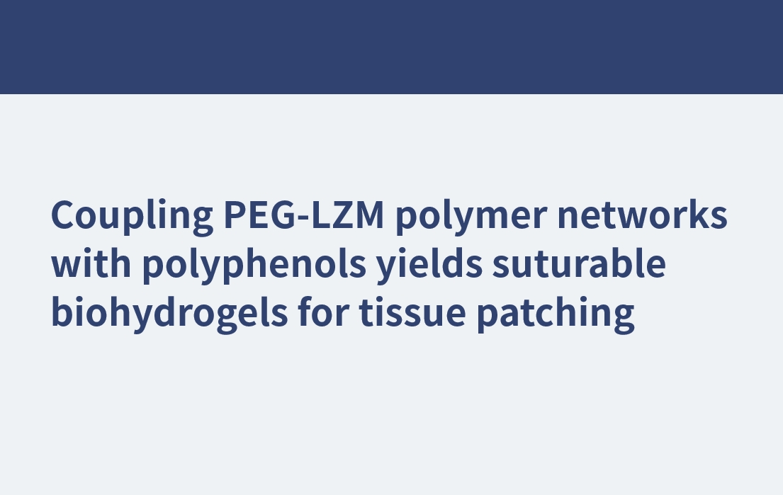 偶联PEG-LZM聚合物网络与多酚产生可缝合的生物水凝胶用于组织修补