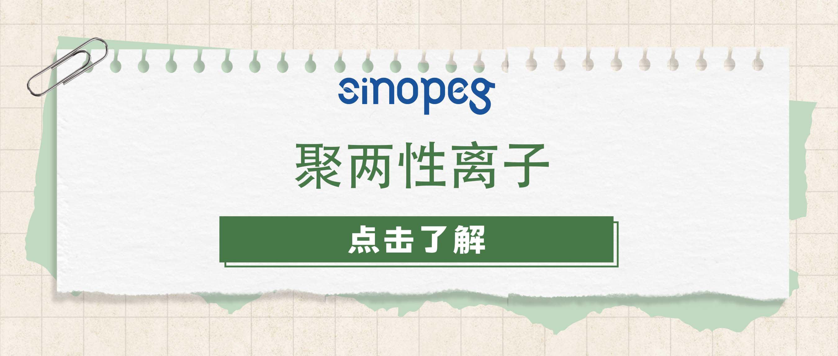 聚两性离子