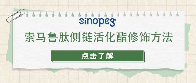 索马鲁肽侧链活化酯修饰方法