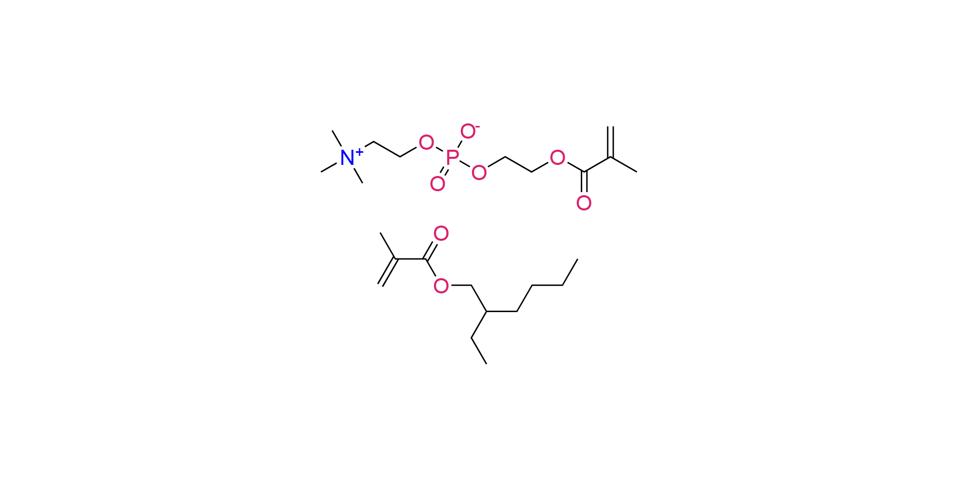 Poly(EHMA-co-MPC)
