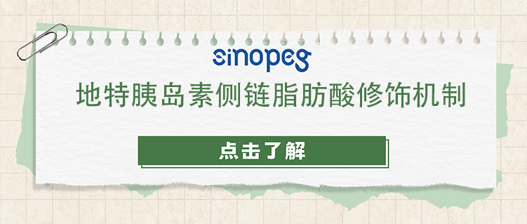 地特胰岛素侧链脂肪酸修饰机制