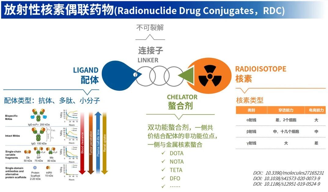 RDC研发浪潮下的隐形基石：单分散聚乙二醇衍生物