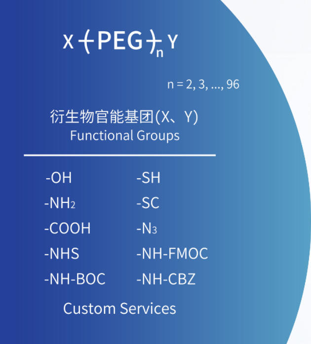 RDC研发浪潮下的隐形基石：单分散聚乙二醇衍生物