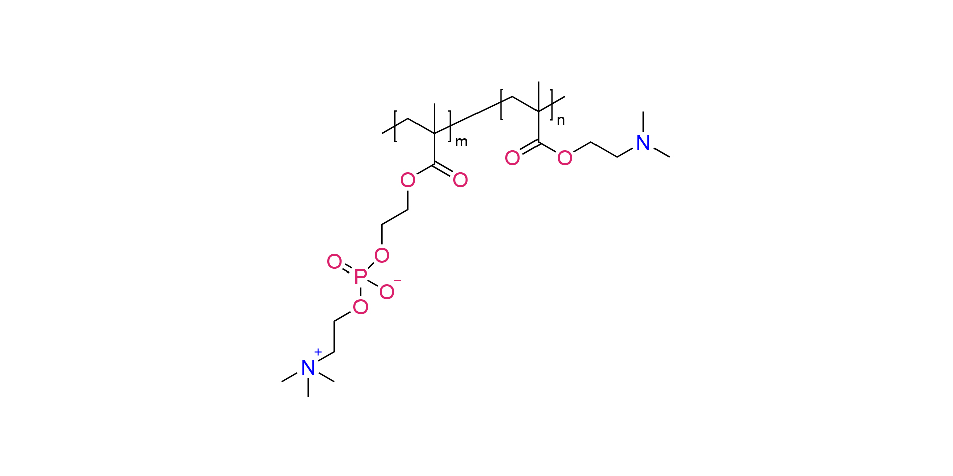 Poly(DMA-co-MPC)