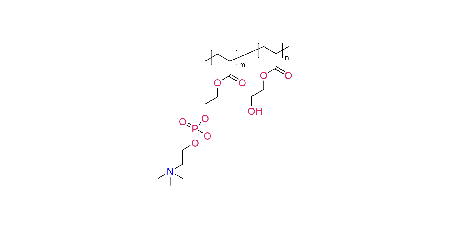Poly（HEMA-co-MPC）