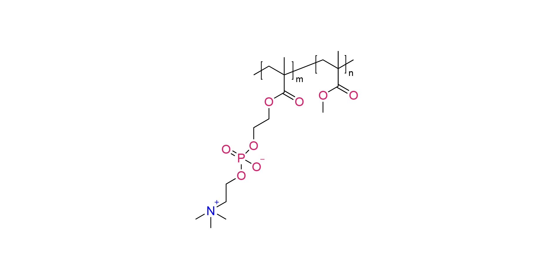 Poly(MPC-co- MMA)