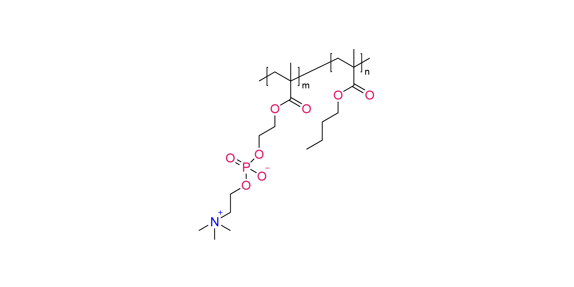 Poly(MPC-co-BMA)