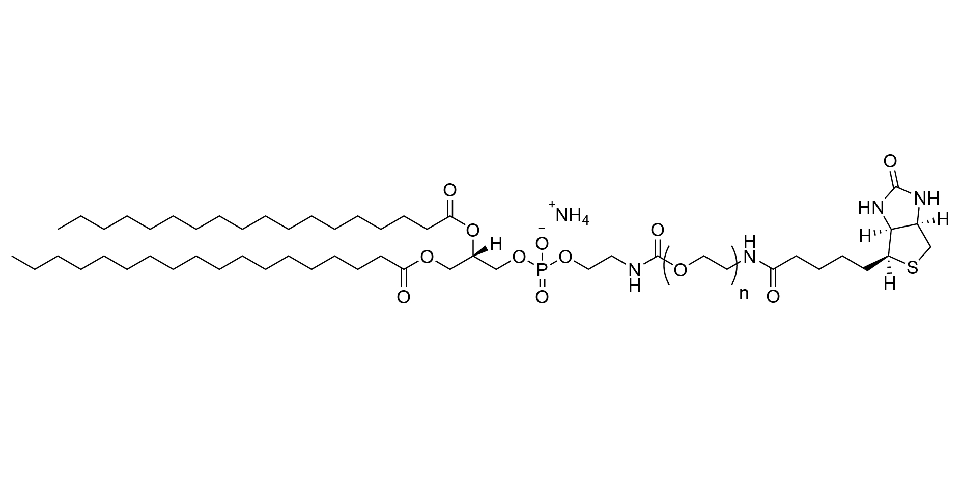 α-生物素-ω-1,2-二硬脂酸-3-磷脂酰乙醇胺聚乙二醇(铵盐)